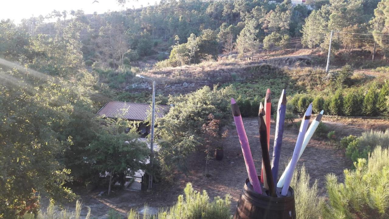 Pinhawood Villa Resende Kültér fotó
