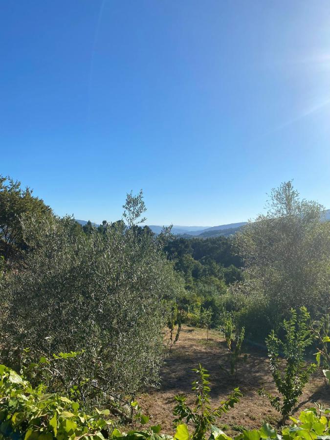 Pinhawood Villa Resende Kültér fotó