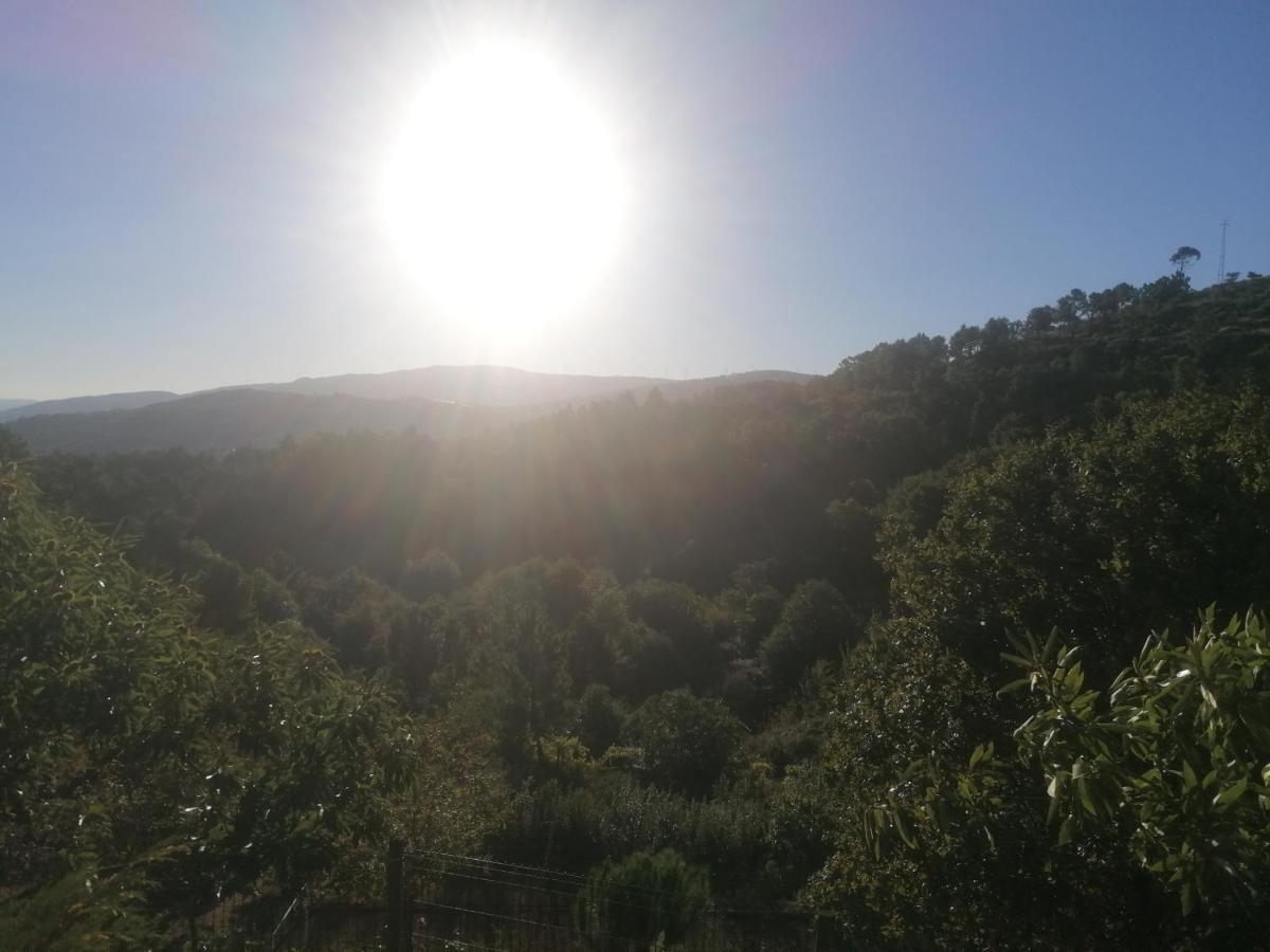 Pinhawood Villa Resende Kültér fotó