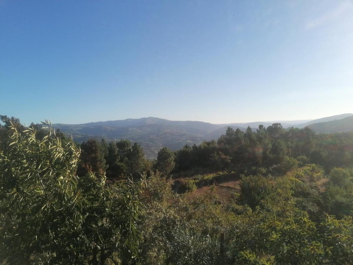 Pinhawood Villa Resende Kültér fotó