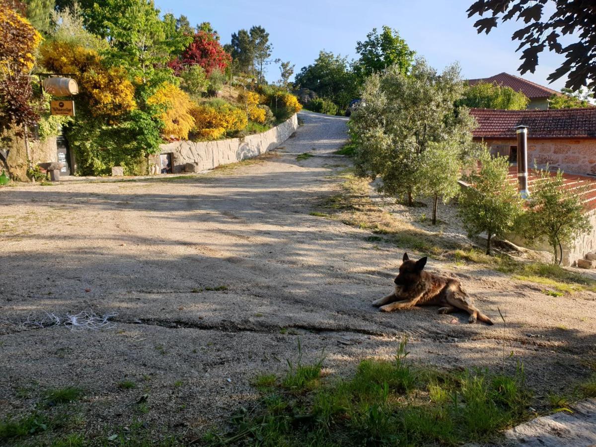 Pinhawood Villa Resende Kültér fotó