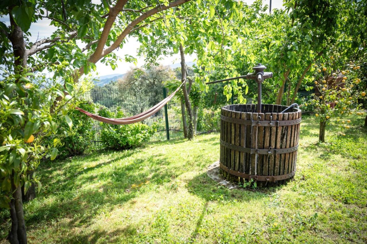 Pinhawood Villa Resende Kültér fotó